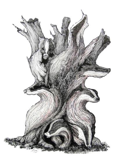 Number 27 Old Brock Stump